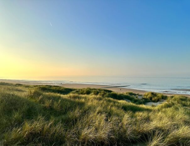 e070b302-2326-44cb-815b-23b4336f19e0